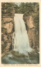Albertype Beautiful Niagara Bushkill Falls Pennsylvania 1920s Postcard 20-6999