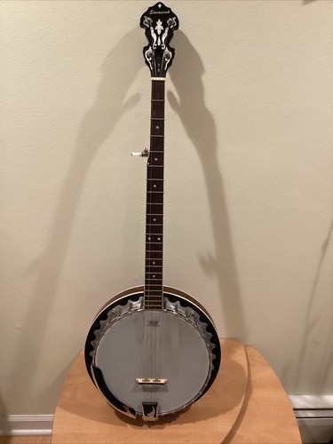 Banjo remo weatherking - banjo,
