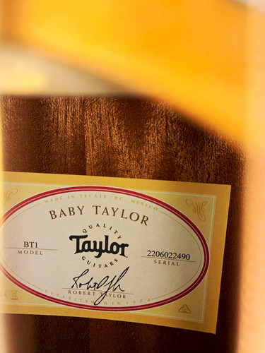 Taylor baby - taylor, bt1