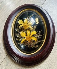 Flora Hawaii Maui Flower 24K
