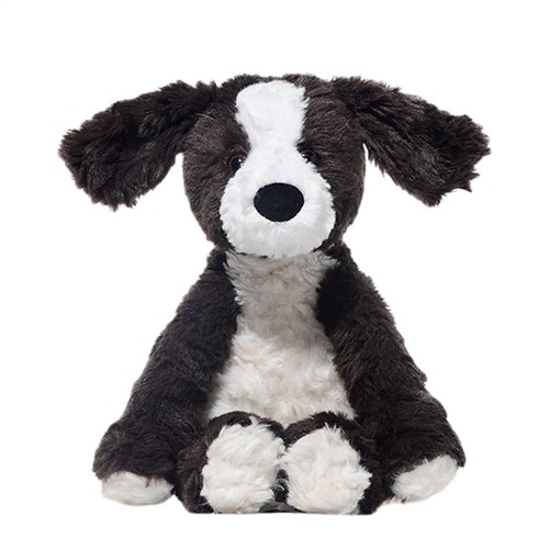 Soft border collie - soft, dog
