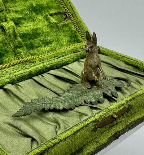 Bunny rabbit fern leaf - bunny,