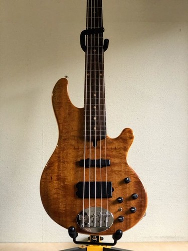 Electric bass guitar lakland - bass,