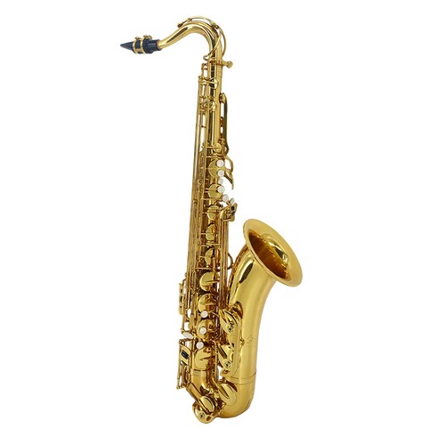 Tenor saxophone complete kit - saxophone,