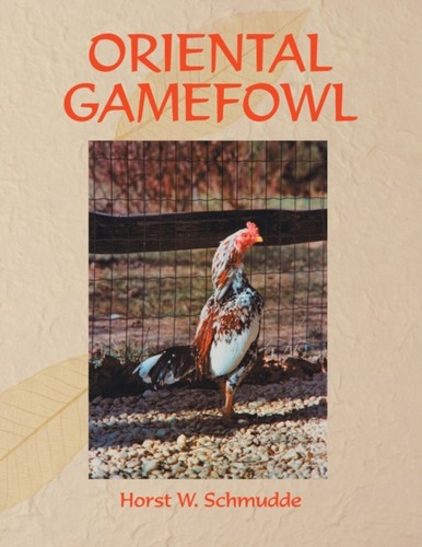 Schmudde oriental gamefowl - oriental,