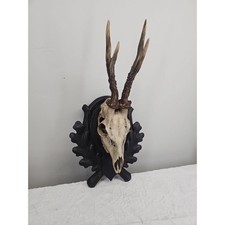 Antique 1900s Black Forest Roe