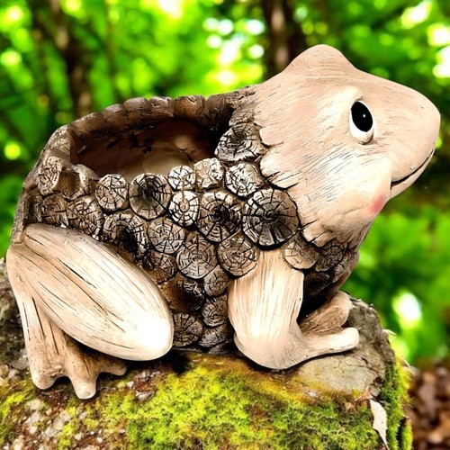 Cute frog plant - frog, pot