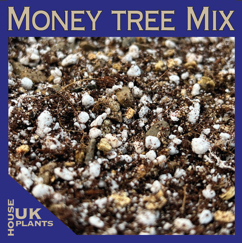 Jade tree soil - jade, mix