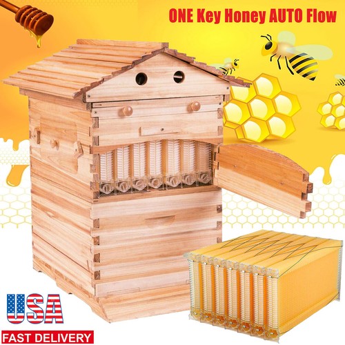Auto shed honey bee hive - 7x,