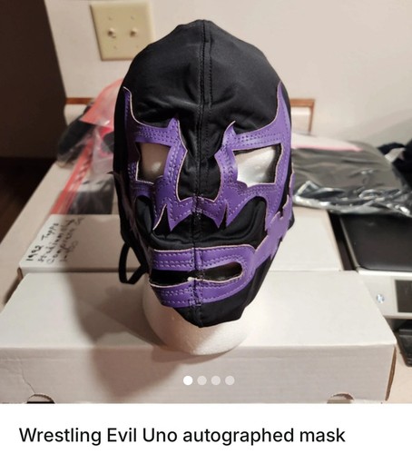 Wrestling autographed mask - wrestling,
