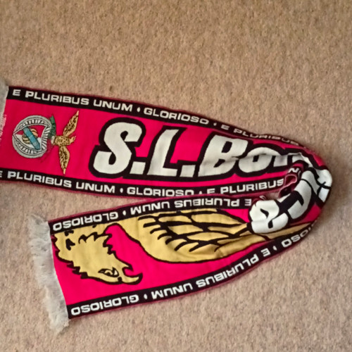 Benfica football scarf - football,