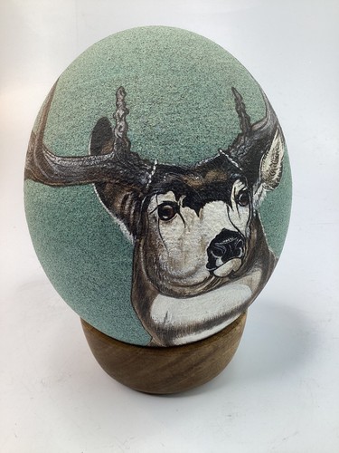 Joseph sanger native - 7”,