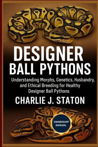 Designer ball pythons - designer,