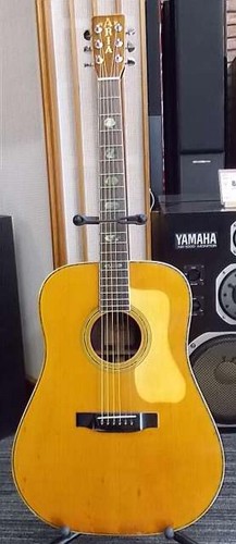 Aria w30d acoustic guitar - aria,