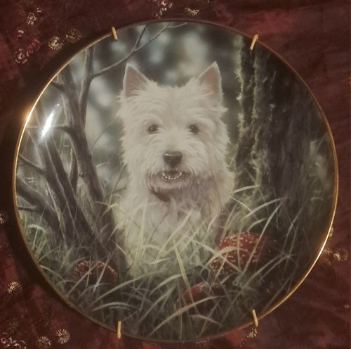 Danbury mint decorative plate - danbury,