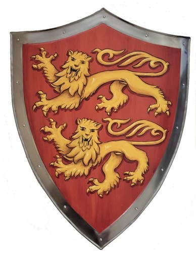 Normandy shield templar - 28''normandy,