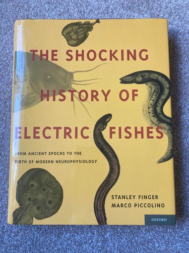 Shocking history electric - history,