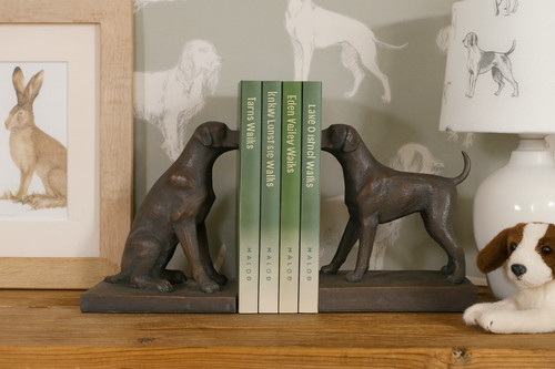 Pair labrador dog bookends - of,