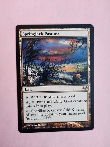 Mtg springjack pasture - springjack,