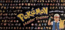 Pokémon Master Trainer Board
