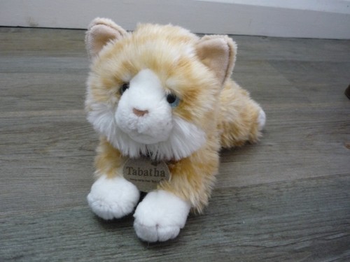 Keel tabatha ginger - tabatha, tabby
