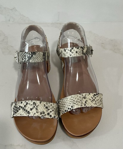 Steve madden aida snake print - steve,