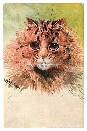 Rp12849 louis wain - wain, cat