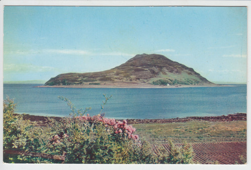 Vintage colour postcard - vintage,