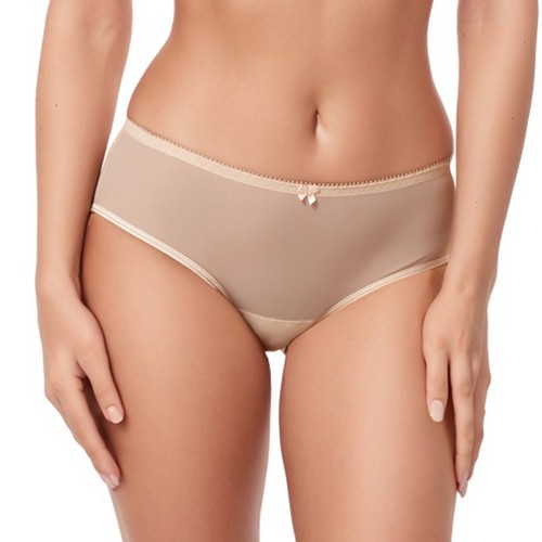 Sheer see through bikini panty - through,