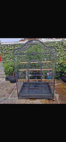 Parrot cage and - parrot, for