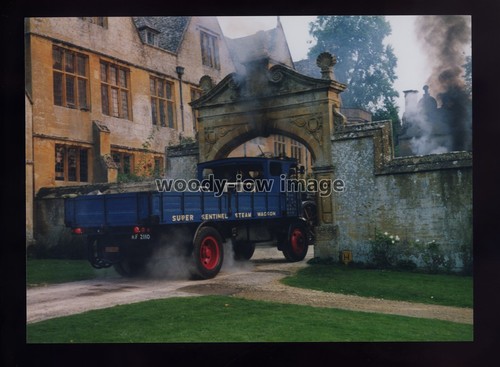 Tz0284 sentinel steam - -,