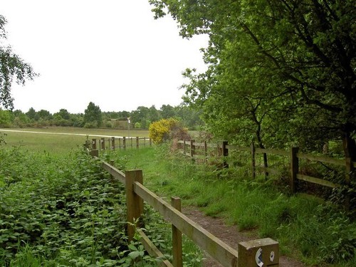 Photo 6x4 walesby scout camp - scout,