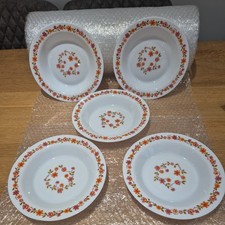 Arcopal France Scania Soup