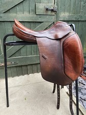 Harry Dabbs Jaguar dressage