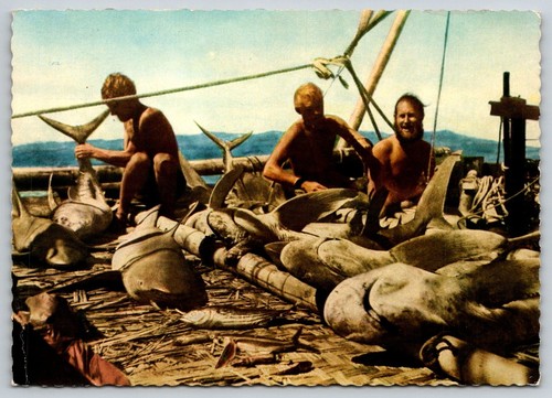 Expedition kon tiki 1947 a - 1947,