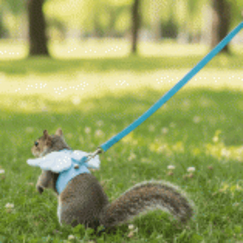 Comfortable pet wing harness - comfortable,