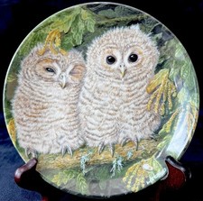 Wedgwood “Tawny Owl Chicks ” The Baby Owl Plate Collection By Dick Twinney