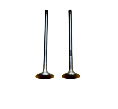Bga v181008 exhaust valve - v181008,