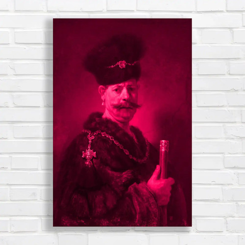 Nobleman ornate robe pink - in,