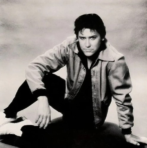 Shakin stevens vinyl - stevens, (vinyl