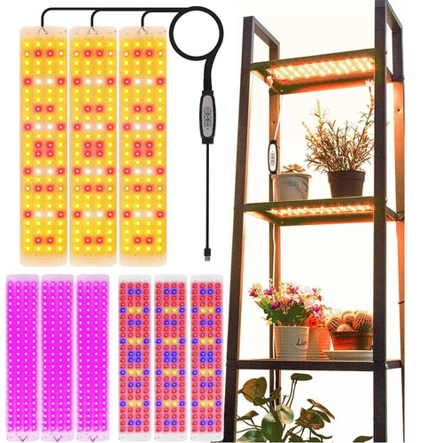 Led plant grow - plant, full