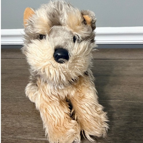 Yorkshire terrier yorkie dog - yorkie,