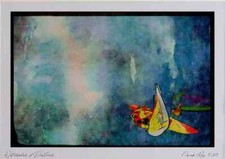 Sailing 339022 Jump, Maui