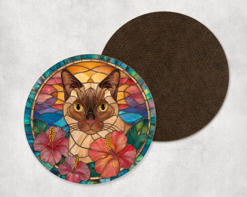 Burmese cat kitten - burmese, animal