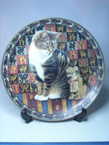 Choice cats around the - choice,