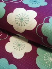 Japanese Sakura Cherry Blossom