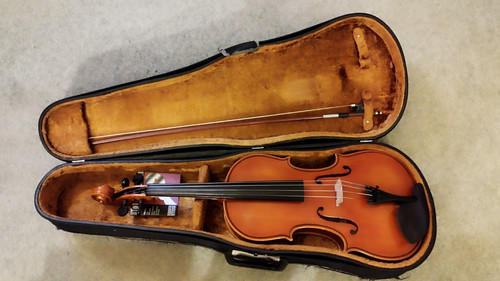 Viola 5 inch - 16.5,