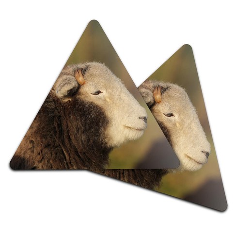 Triangle coaster herdwick - triangle,