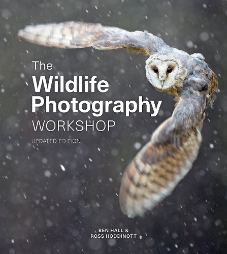 Wildlife photography workshop - photography,