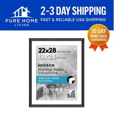 Versatile 22x28 Black Picture